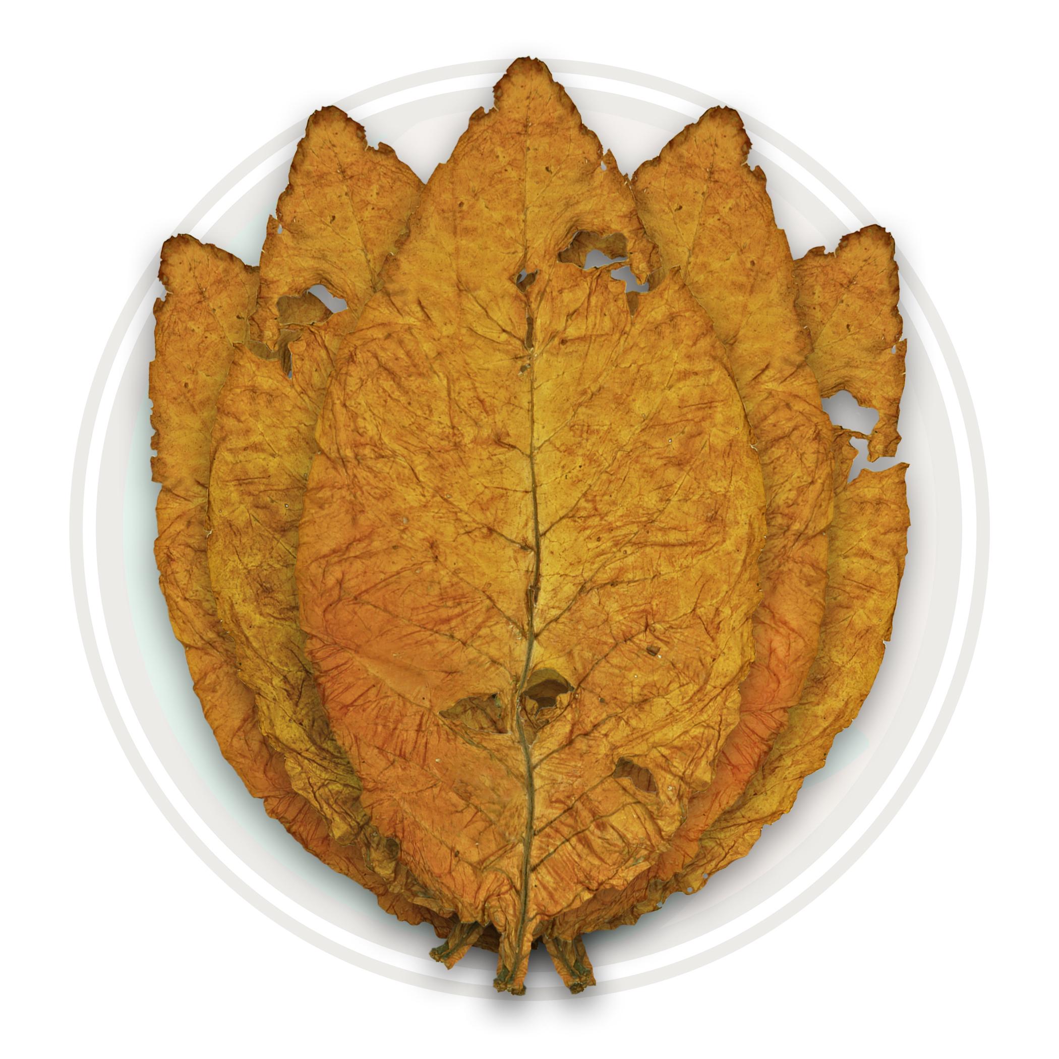 American Virginia Flue Cured Blonde Tobacco Leaf American Virginia Flue Cured Blonde Tobacco Leaf
